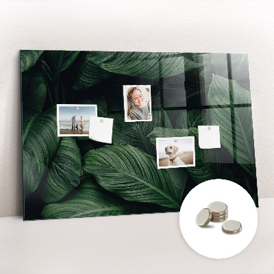 Tableau pour magnet Monstera tropical