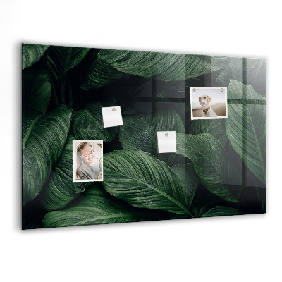 Tableau pour magnet Monstera tropical