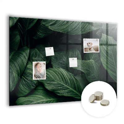 Tableau pour magnet Monstera tropical