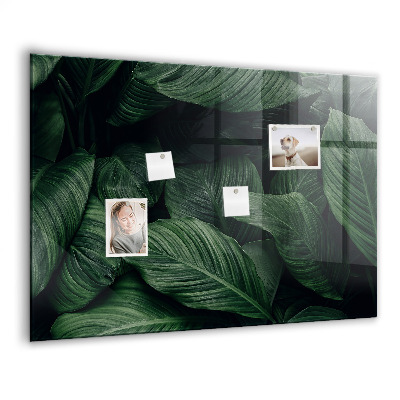 Tableau pour magnet Monstera tropical