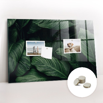 Tableau pour magnet Monstera tropical