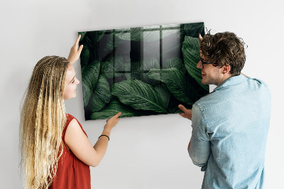 Tableau pour magnet Monstera tropical