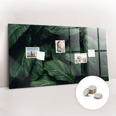 Tableau pour magnet Monstera tropical