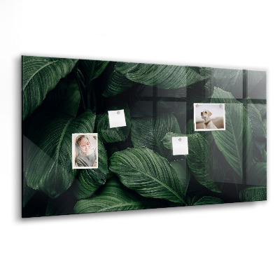 Tableau pour magnet Monstera tropical