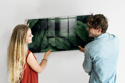 Tableau pour magnet Monstera tropical