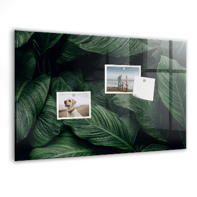 Tableau pour magnet Monstera tropical
