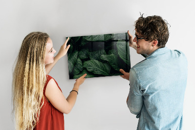 Tableau pour magnet Monstera tropical