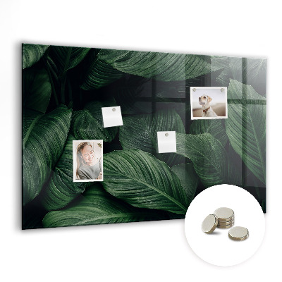 Tableau pour magnet Monstera tropical