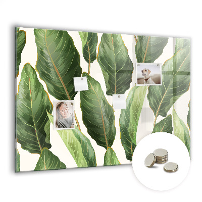 Tableau aimanté horizontal feuilles de palmier