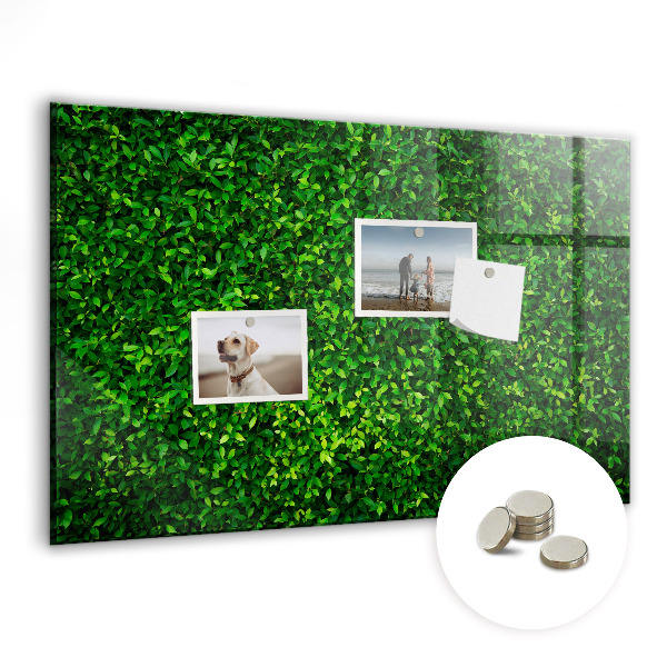 Tableau mural magnétique feuilles de haie