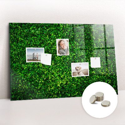 Tableau mural magnétique feuilles de haie