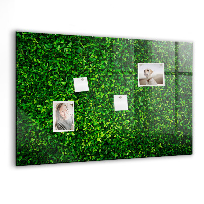 Tableau mural magnétique feuilles de haie