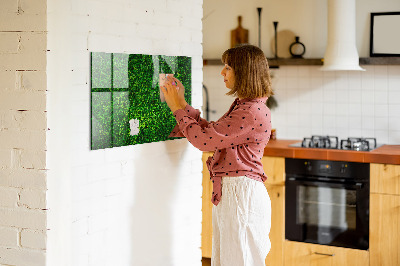 Tableau mural magnétique feuilles de haie