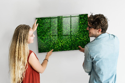 Tableau mural magnétique feuilles de haie