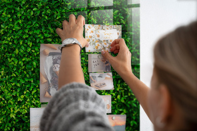 Tableau mural magnétique feuilles de haie