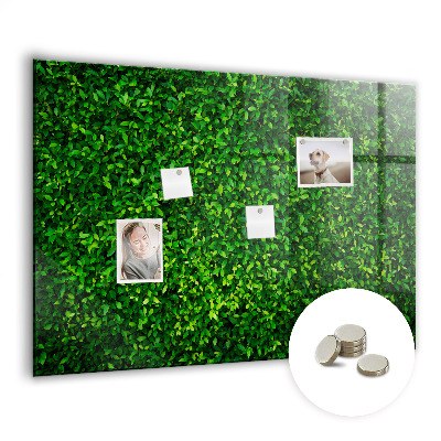 Tableau mural magnétique feuilles de haie