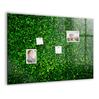 Tableau mural magnétique feuilles de haie