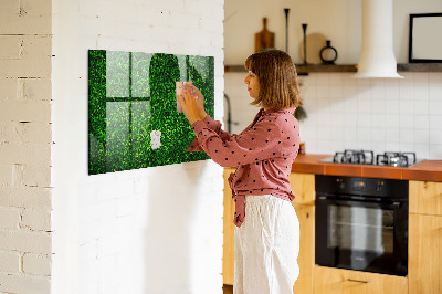 Tableau mural magnétique feuilles de haie