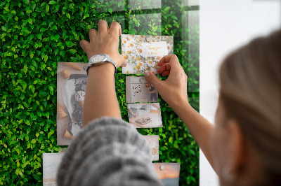 Tableau mural magnétique feuilles de haie