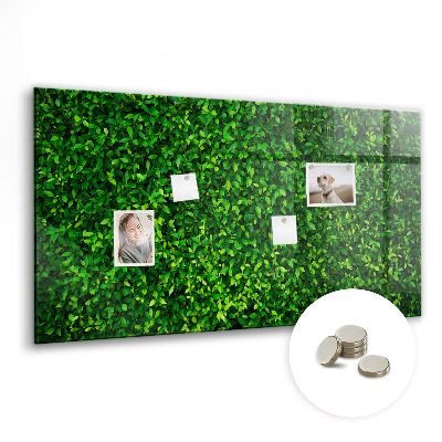 Tableau mural magnétique feuilles de haie