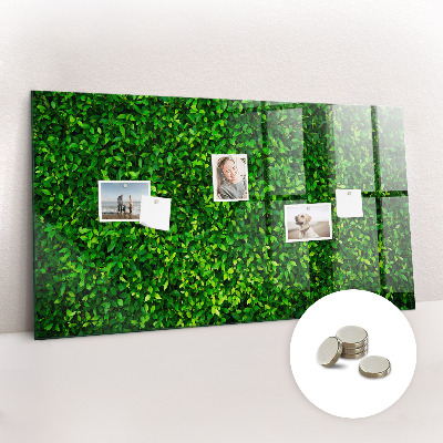 Tableau mural magnétique feuilles de haie