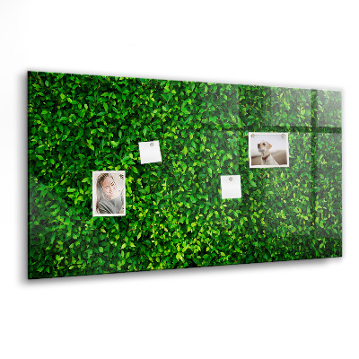 Tableau mural magnétique feuilles de haie
