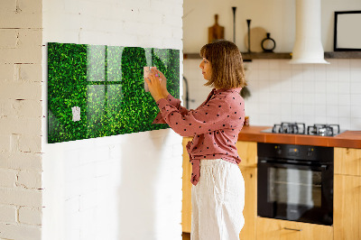 Tableau mural magnétique feuilles de haie