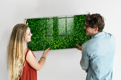Tableau mural magnétique feuilles de haie