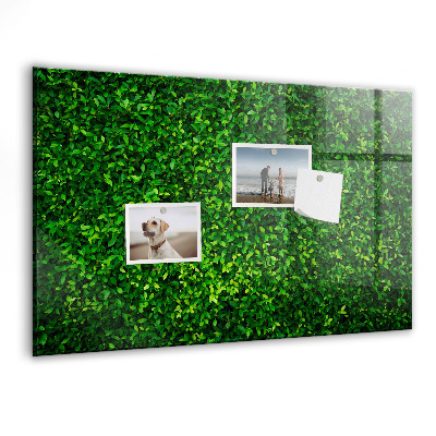Tableau mural magnétique feuilles de haie