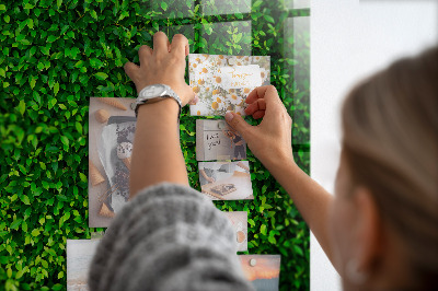 Tableau mural magnétique feuilles de haie