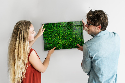 Tableau mural magnétique feuilles de haie