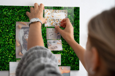 Tableau mural magnétique feuilles de haie