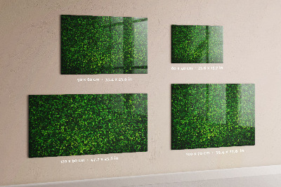 Tableau mural magnétique feuilles de haie