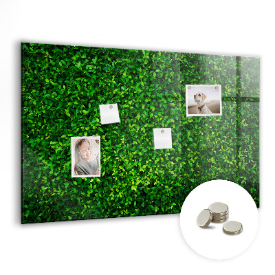 Tableau mural magnétique feuilles de haie