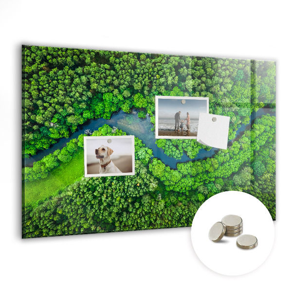 Tableau mural magnétique Rivière dans la forêt