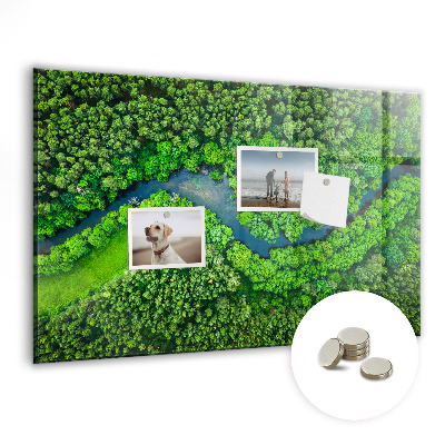 Tableau mural magnétique Rivière dans la forêt