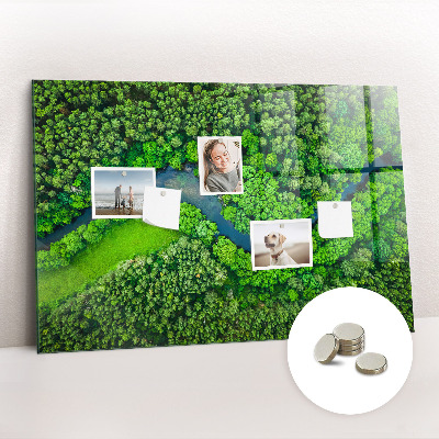 Tableau mural magnétique Rivière dans la forêt