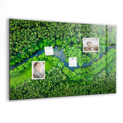 Tableau mural magnétique Rivière dans la forêt