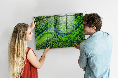 Tableau mural magnétique Rivière dans la forêt