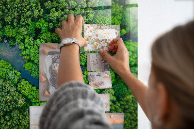 Tableau mural magnétique Rivière dans la forêt