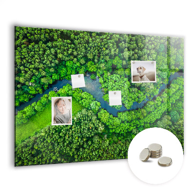 Tableau mural magnétique Rivière dans la forêt