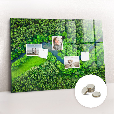 Tableau mural magnétique Rivière dans la forêt