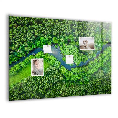Tableau mural magnétique Rivière dans la forêt