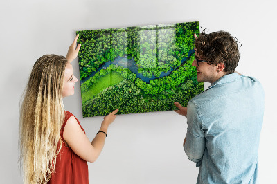 Tableau mural magnétique Rivière dans la forêt