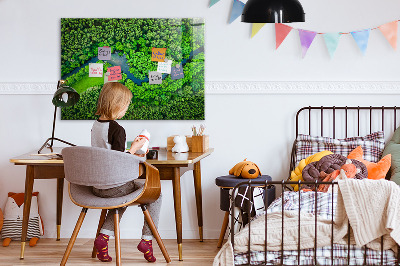 Tableau mural magnétique Rivière dans la forêt