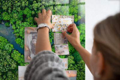Tableau mural magnétique Rivière dans la forêt