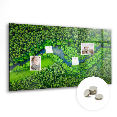 Tableau mural magnétique Rivière dans la forêt
