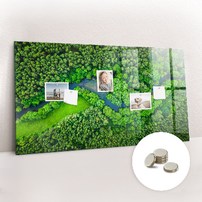 Tableau mural magnétique Rivière dans la forêt