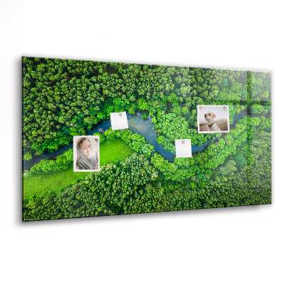 Tableau mural magnétique Rivière dans la forêt