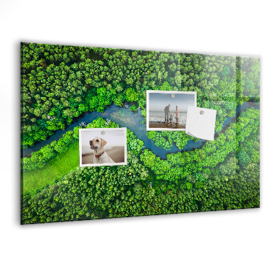 Tableau mural magnétique Rivière dans la forêt